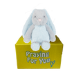 Blue and gray bunny rabbit stuffed animal with floppy ears sitting on a yellow box ready to be sent as a care package. send a PRAYER : sendaprayernow.com