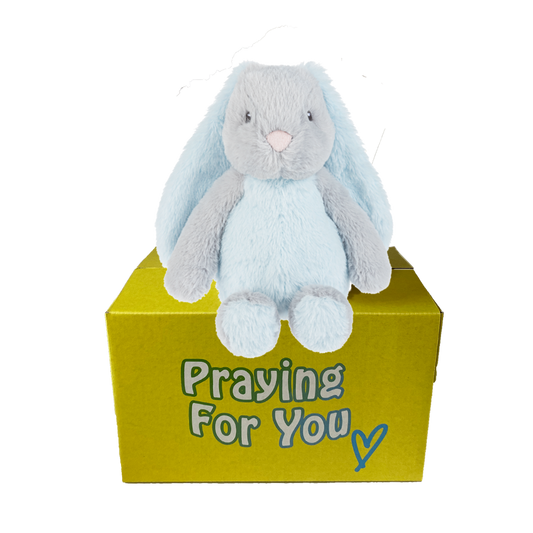 Blue and gray bunny rabbit stuffed animal with floppy ears sitting on a yellow box ready to be sent as a care package. send a PRAYER : sendaprayernow.com