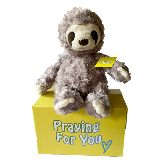 send a PRAYER - DASH the Dawdles Sloth - send a PRAYER to a friend - sendaprayernow.com