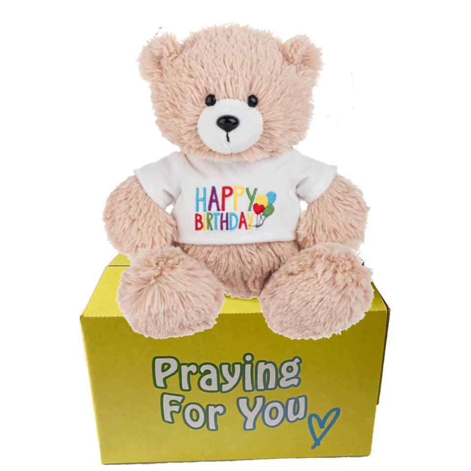 tan bear wearing happy birthday t-shirt sitting on a yellow box: send a PRAYER 