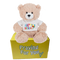 tan bear wearing happy birthday t-shirt sitting on a yellow box: send a PRAYER 