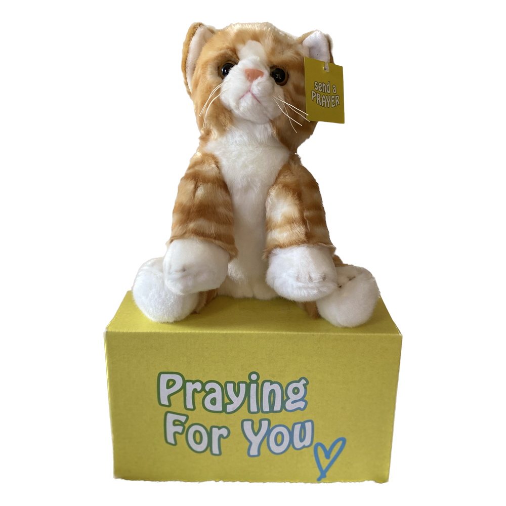 send a PRAYER - DASH Kali the Tabby Cat - send a PRAYER to a friend - sendaprayernow.com