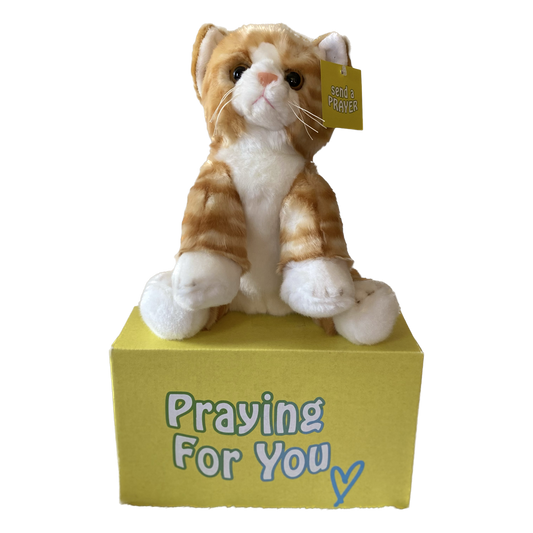 send a PRAYER - DASH Kali the Tabby Cat - send a PRAYER to a friend - sendaprayernow.com