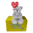 Luvie Bear on bright yellow box. send a prayer send a plushie care package