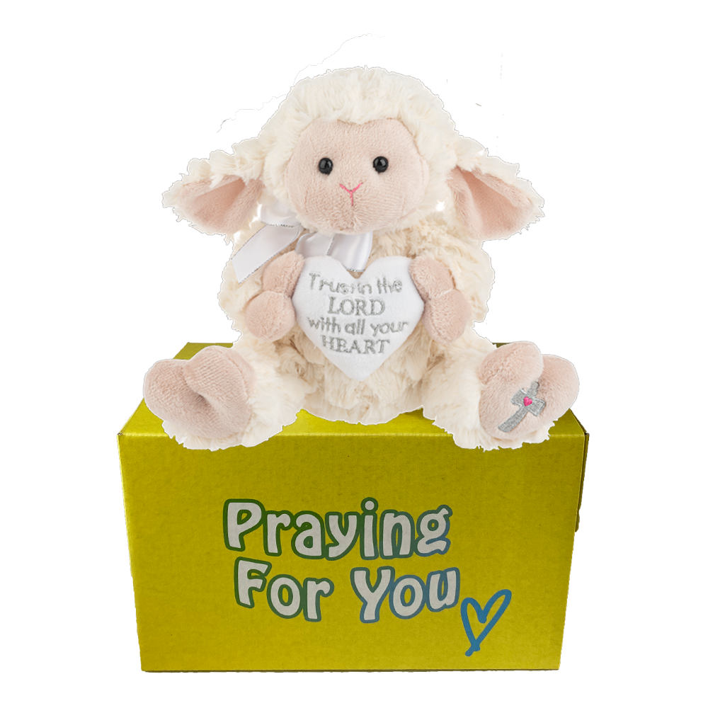 Lyric the lamb on yellow box send a PRAYER stuffed animal prayer plushie. care package