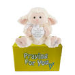 Lyric the lamb on yellow box send a PRAYER stuffed animal prayer plushie. care package