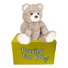 sable brown bear sitting on a yellow box- send a prayer - send a plushie