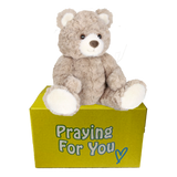 sable brown bear sitting on a yellow box- send a prayer - send a plushie
