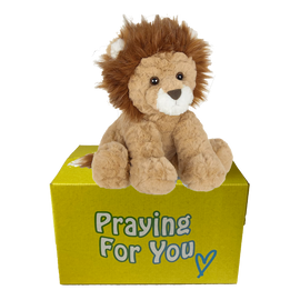 brown lion sitting on yellow box : send a prayer