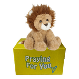 brown lion sitting on yellow box : send a prayer