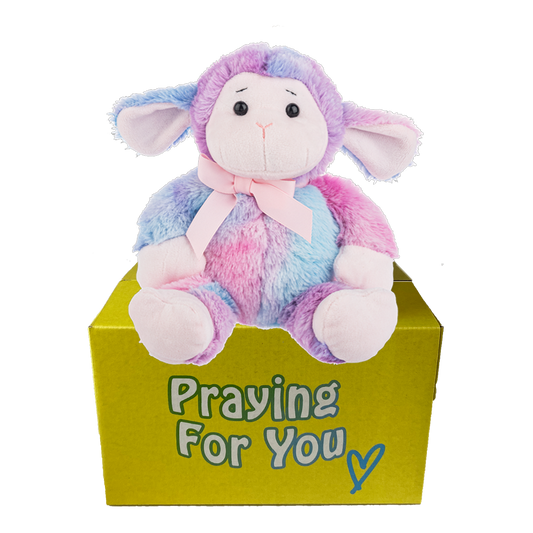 send a PRAYER Sprinkles Lamb stuffed animal plushie care package