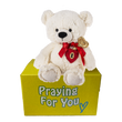 send a PRAYER - Zeddy Bear - send a PRAYER to a friend -key to my heart bear - sendaprayernow.com