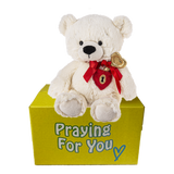 send a PRAYER - Zeddy Bear - send a PRAYER to a friend -key to my heart bear - sendaprayernow.com