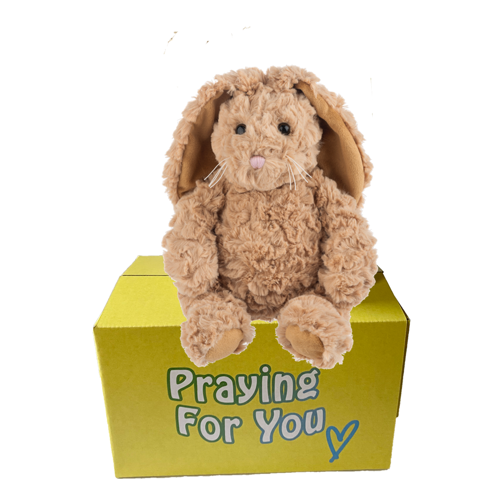 send a PRAYER Benzi the Bunny Rabbit stuffed animal plushie care package