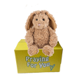 send a PRAYER Benzi the Bunny Rabbit stuffed animal plushie care package