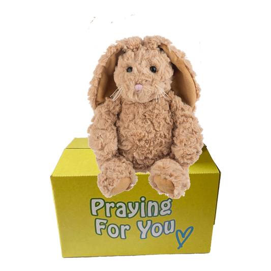 send a PRAYER Benzi the Bunny Rabbit stuffed animal plushie care package