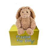 send a PRAYER Benzi the Bunny Rabbit stuffed animal plushie care package