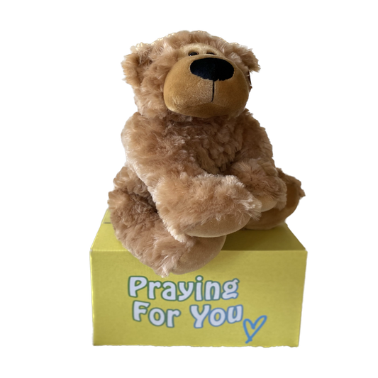 send a PRAYER - Bozzy Bear - send a prayer- sendaprayernow.com