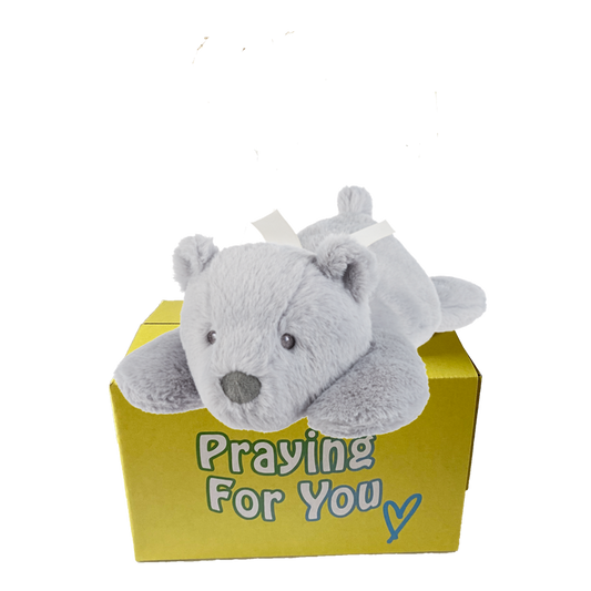 grey lazy bear with white ribbon laying on a yellow box : send a PRAYER