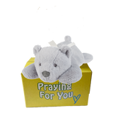 grey lazy bear with white ribbon laying on a yellow box : send a PRAYER