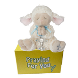 Obi serenity lamb stuffed animal with a blue ribbon and cross wrapped around his praying hands sitting on a yellow box ready to be sent as a care package. send a PRAYER : sendaprayernow.com