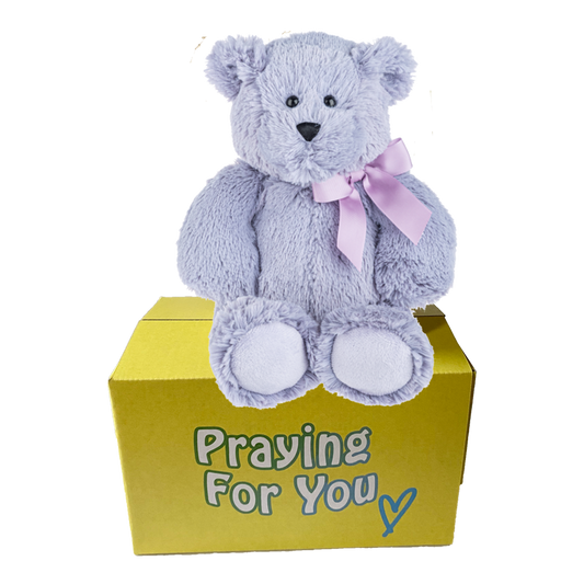 purple bear with matching ribbon tied in a bow sitting on a yellow box- send a prayer - send a plushie