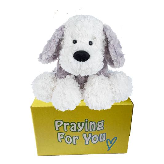 Rumi send a PRAYER stuffed animal sitting on a yellow box