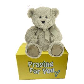 sage bear with matching ribbon sitting on top of a yellow box - send a prayer - send a plushie