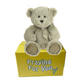 sage bear with matching ribbon sitting on top of a yellow box - send a prayer - send a plushie