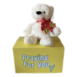 send a PRAYER - Zeddy Bear - send a PRAYER to a friend -key to my heart bear - sendaprayernow.com