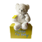 send a PRAYER - the ANGEL BEAR - stuffed animal care package - sendaprayernow.com