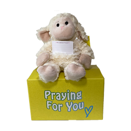 send a PRAYER - LUMI the lamb - stuffed animal care package - sendprayernow.com