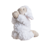 send a PRAYER - PINKLEE the Praying  Lamb plushie – an inspirational gift care package perfect for spreading love and faith.- sendaprayernow.com
