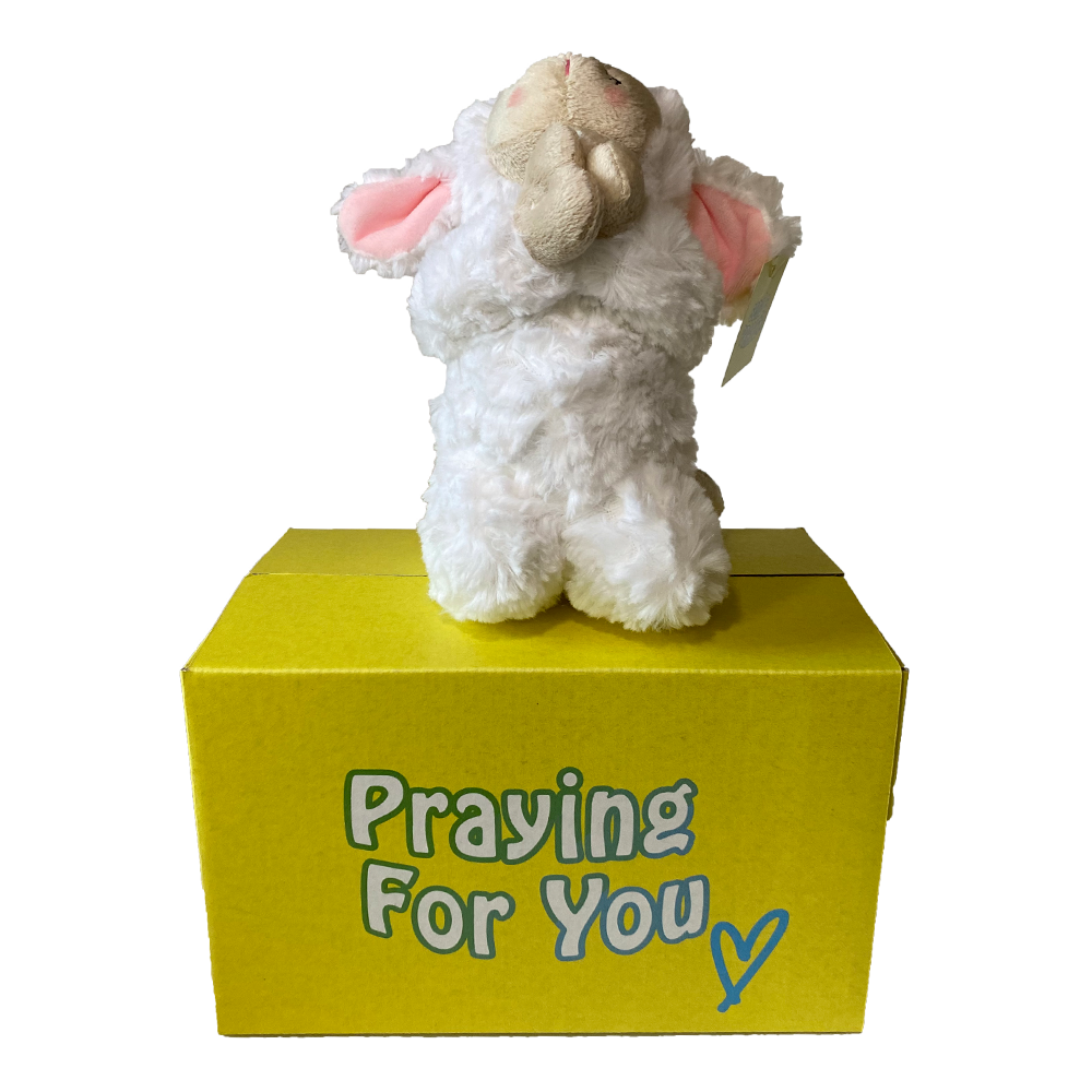 sendaprayer - PINKLEE the Lamb plushie – an inspirational gift care package perfect for spreading love and faith.
