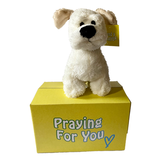 send a PRAYER - RALPHIE the Dog  - stuffed animal care package - sendaprayernow.com